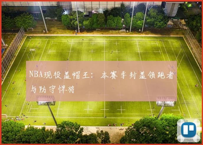 NBA现役盖帽王：本赛季封盖领跑者与防守悍将