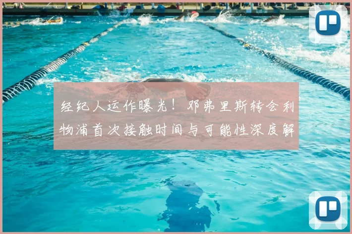 经纪人运作曝光！邓弗里斯转会利物浦首次接触时间与可能性深度解析