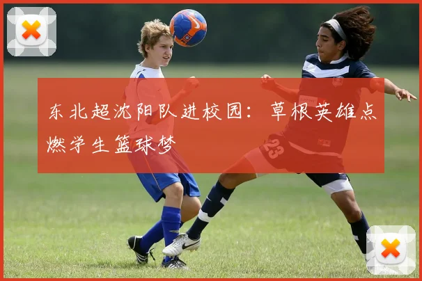 东北超沈阳队进校园：草根英雄点燃学生篮球梦