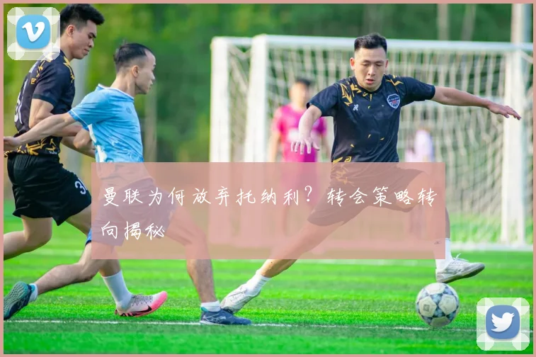 曼联为何放弃托纳利？转会策略转向揭秘